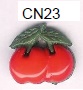 CN23 Stock Pic.jpg